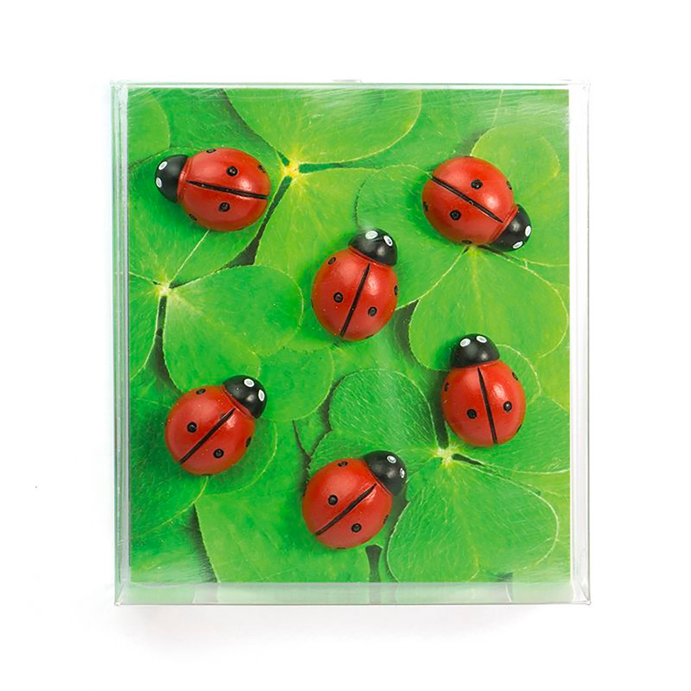 LADYBUG Magneter, 6-pakk - kjøleskapsmagneter