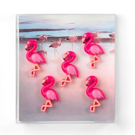Flamingo Pink 5-pakk - kjøleskapsmagneter